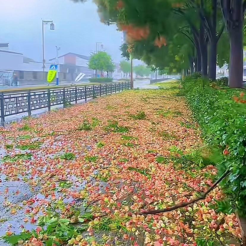 小沫沫