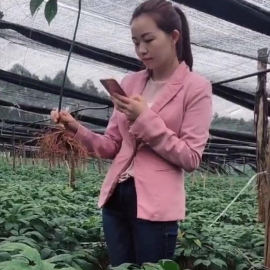 三七人•圆圆•代购•代销