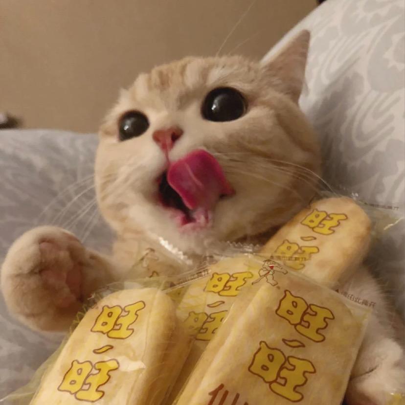瞳桐童