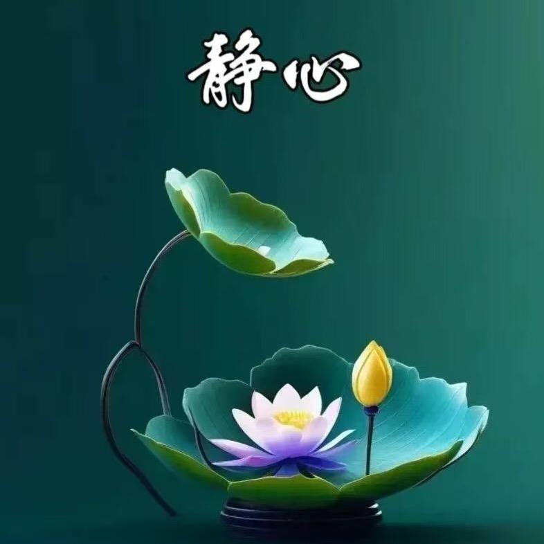 随缘