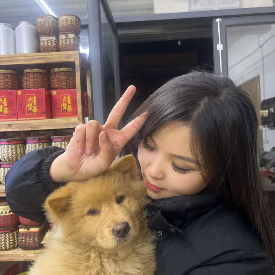 广西六堡茶批发桂馥茗茶业