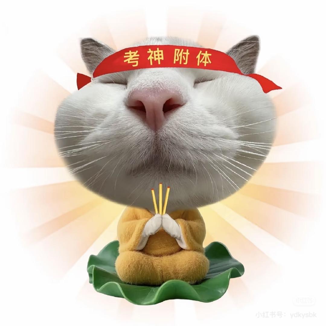 济南博凯学校刘老师