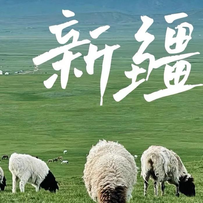 新疆家具百货仓的头像