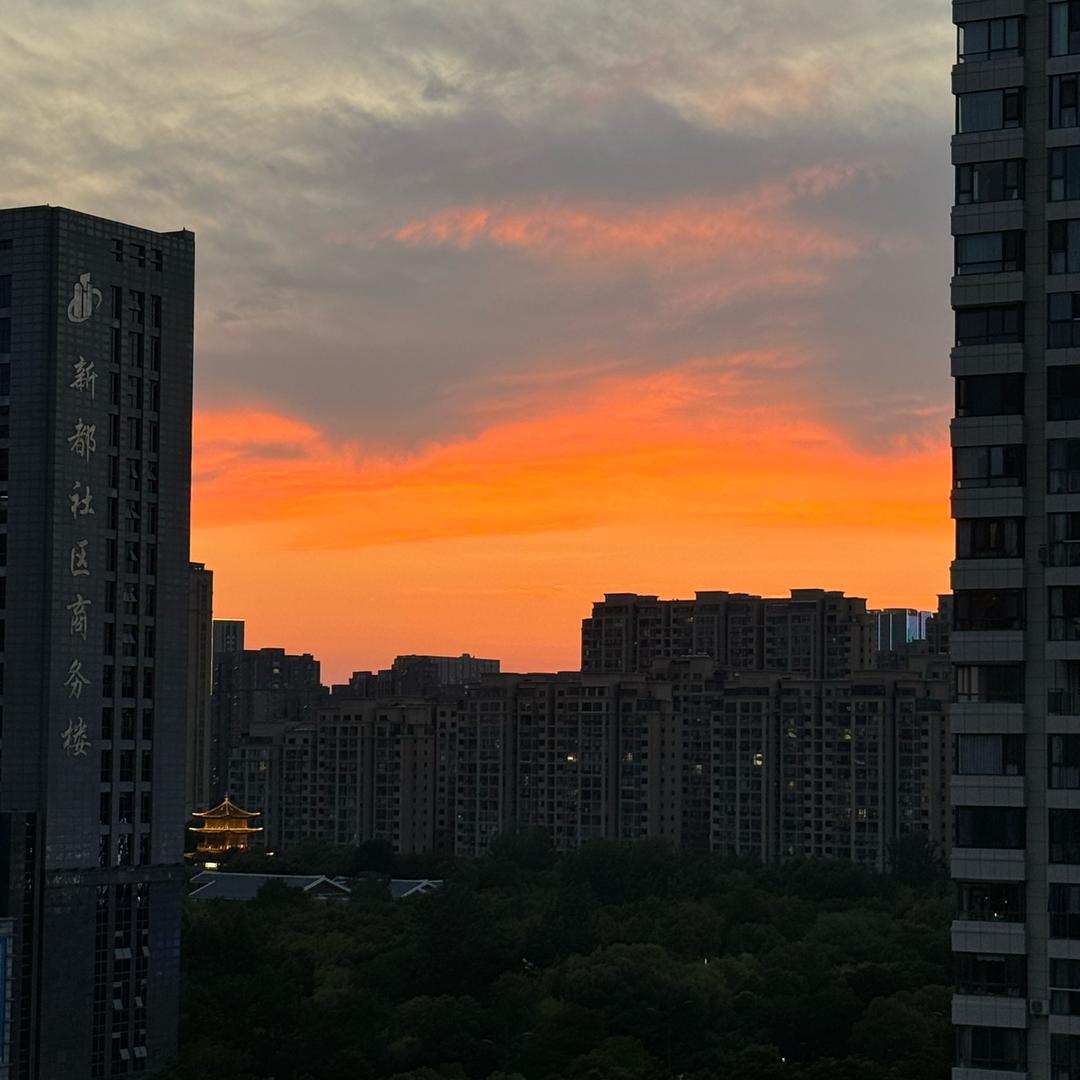 小红豆🫘