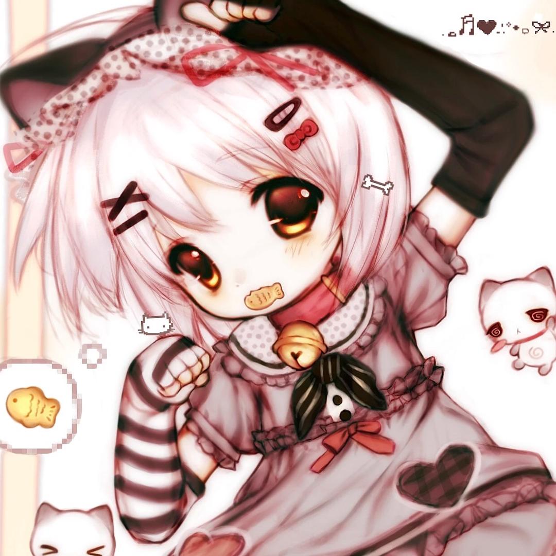 mao酱