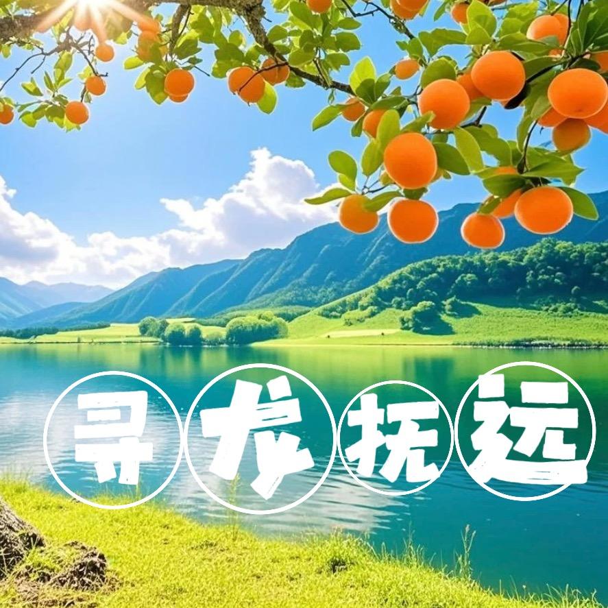 两极穿越-寻龙抚远