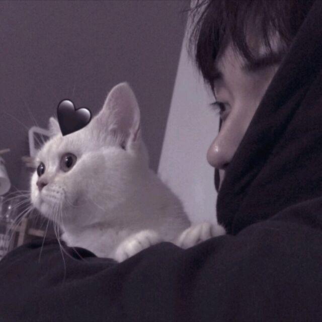 苏泽