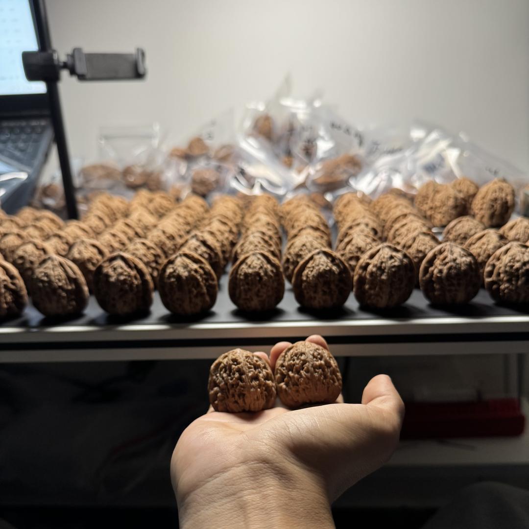 叁石文玩