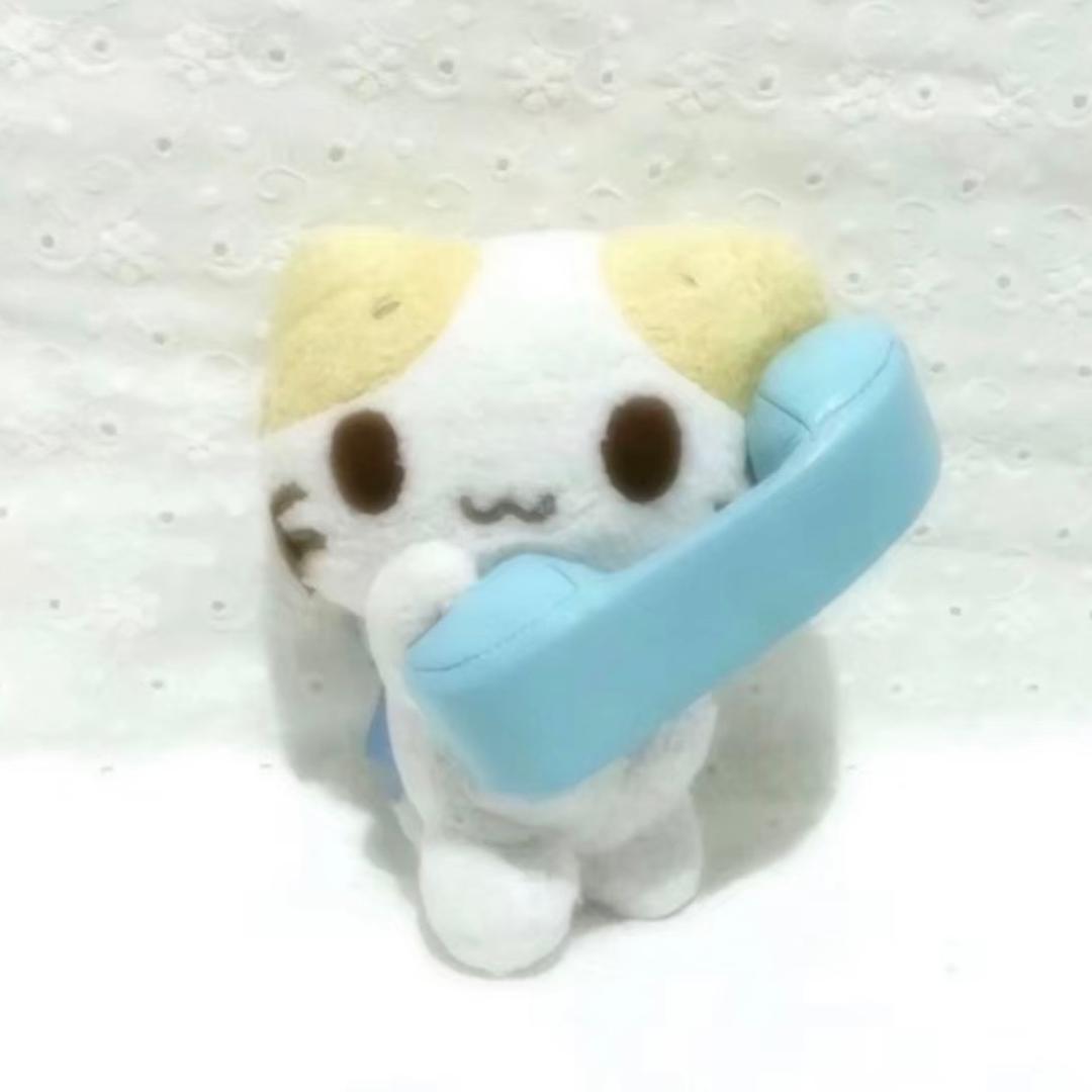小王有只小猫叫狗蛋
