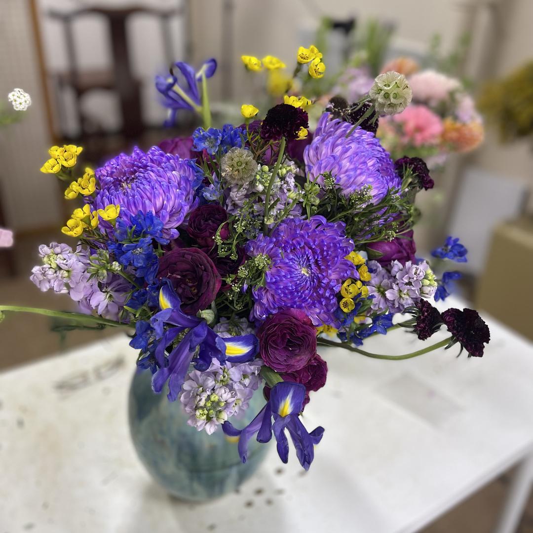 宝儿花卉