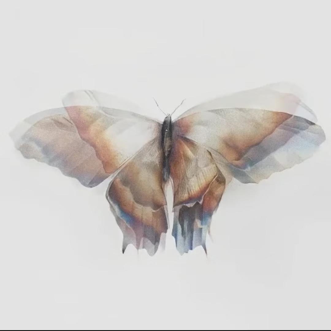 小菇菇