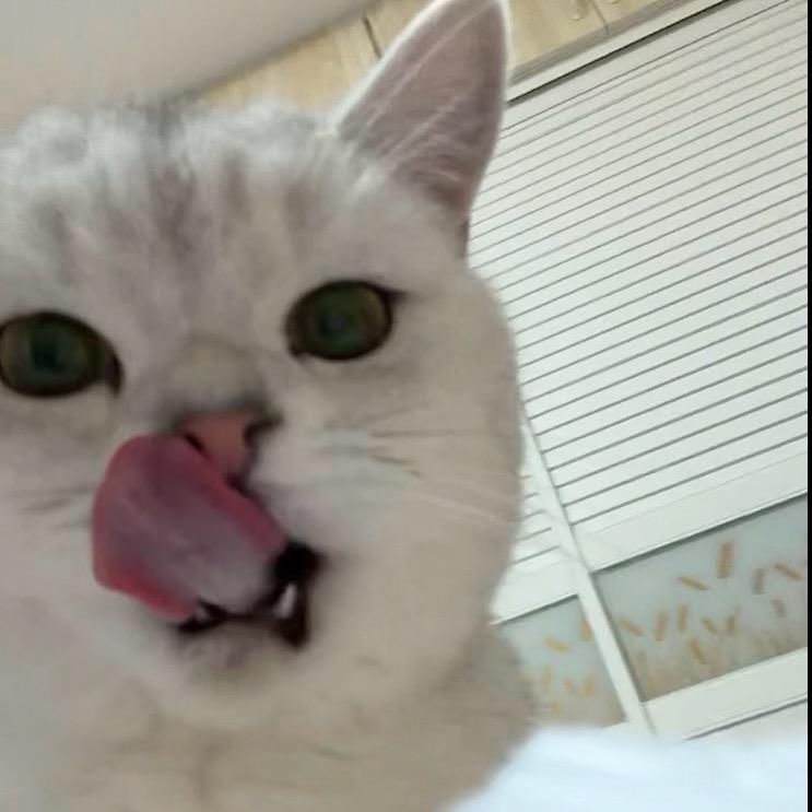 我只是一个小号