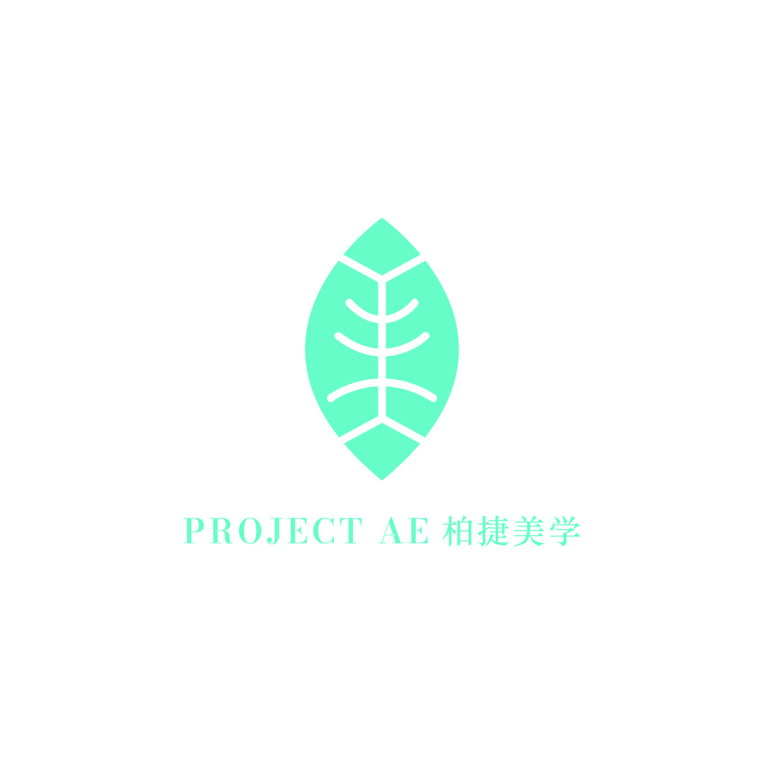 PROJECT AE 柏捷美学