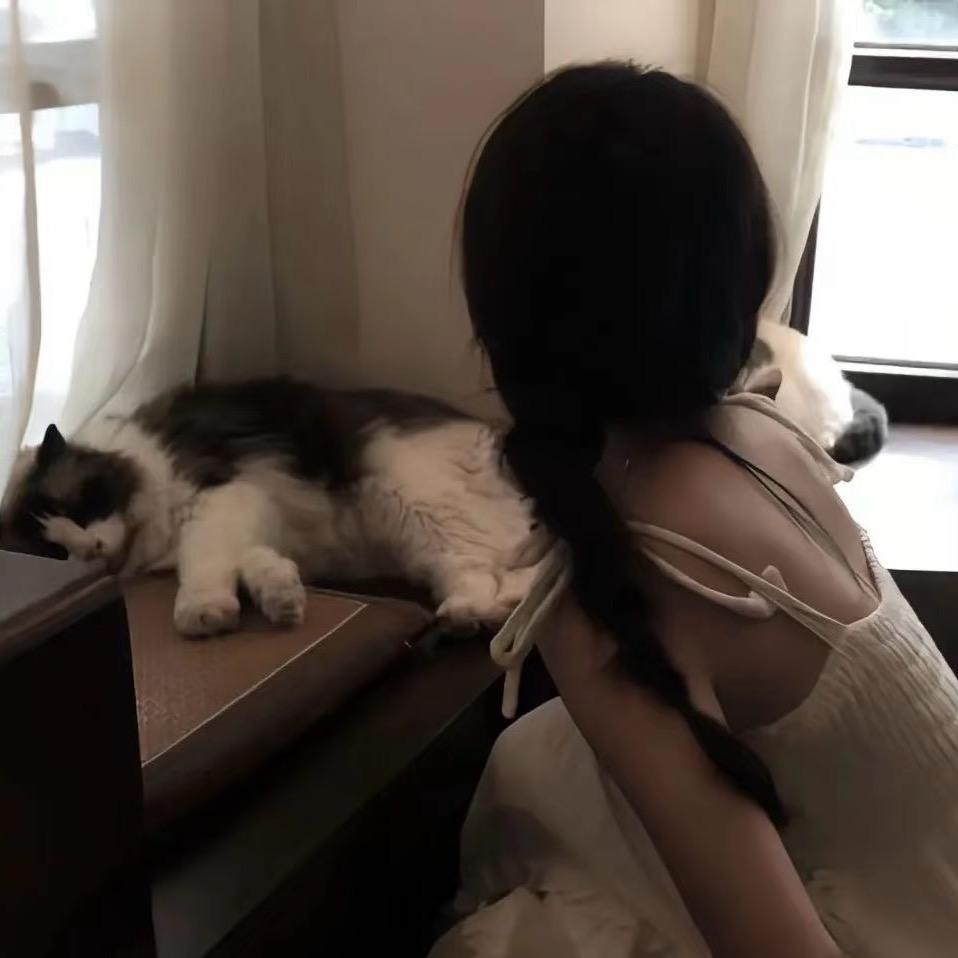 小蝶🦋