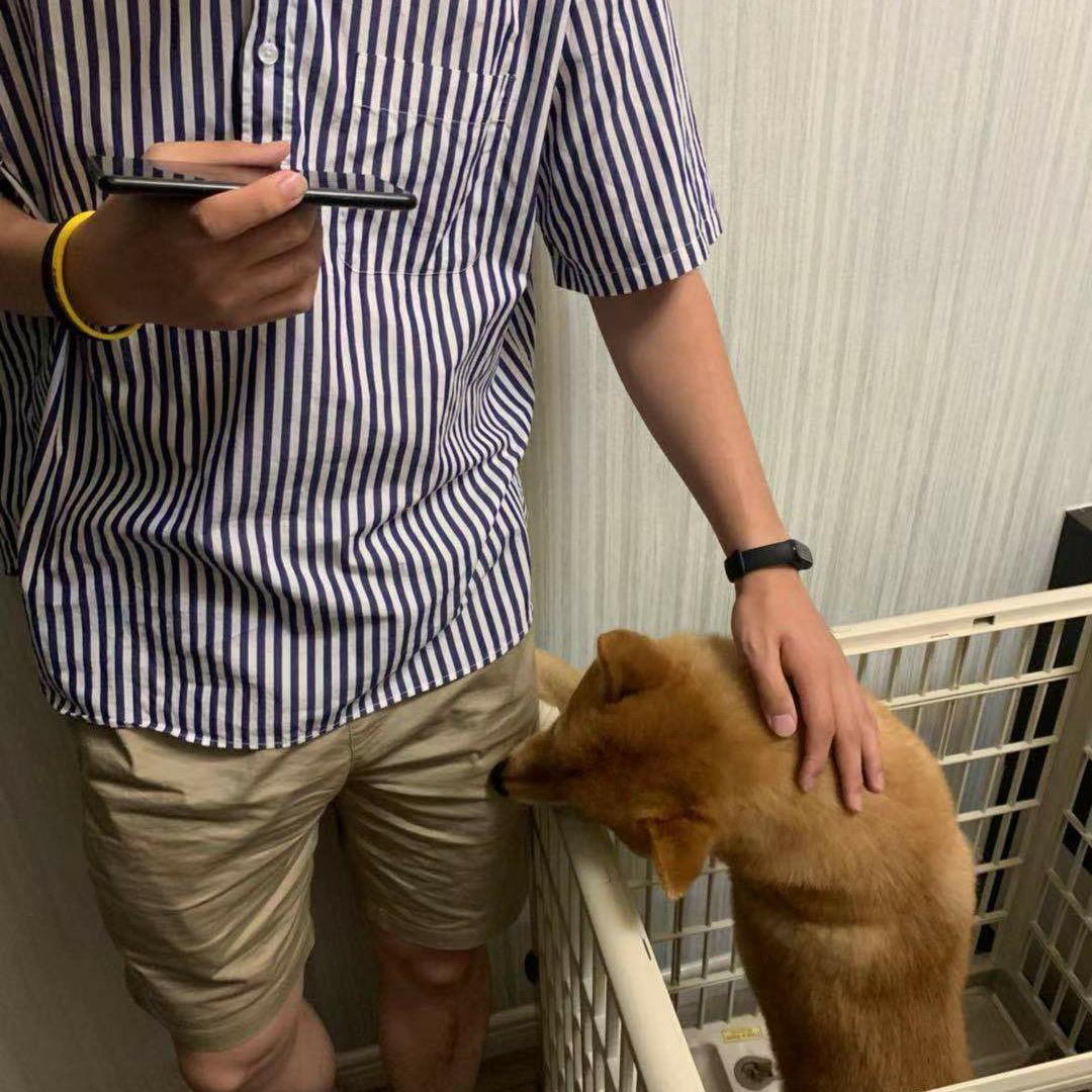 无籽葡萄籽 🍇