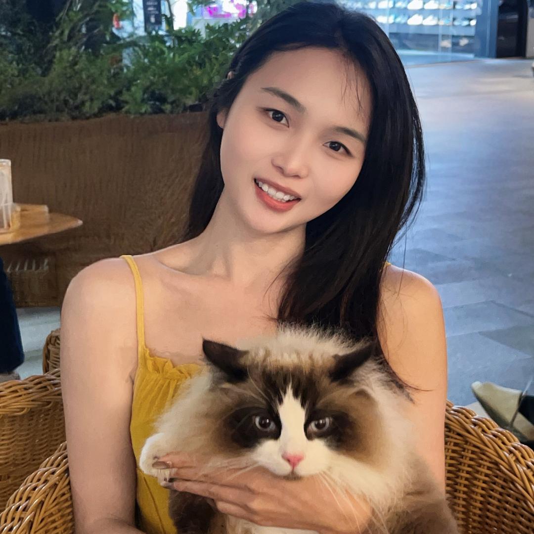 小新更新