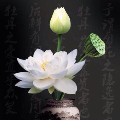 静芯