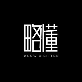 略懂