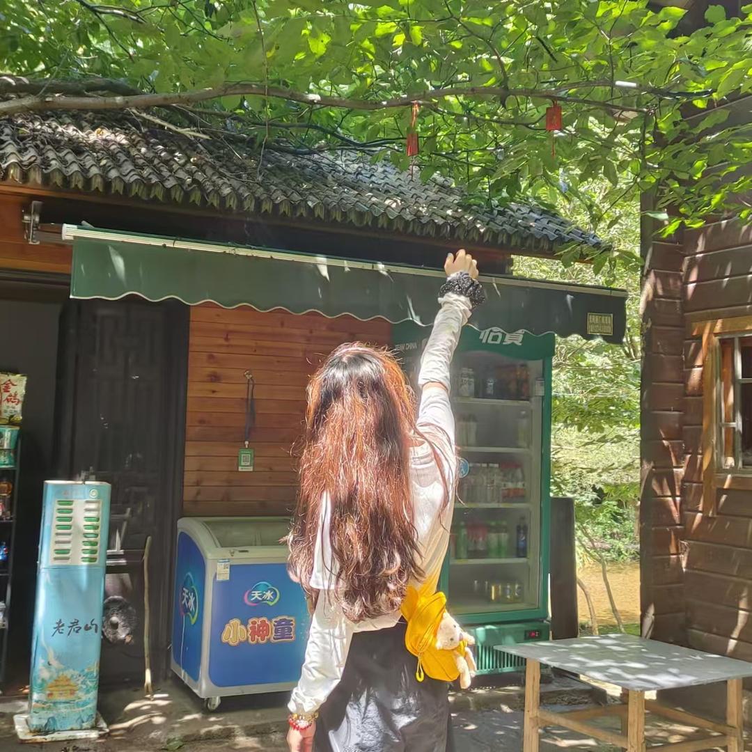 ☀️晴天佳