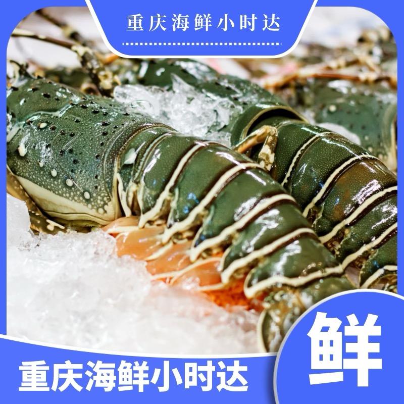 小杨海鲜小时达