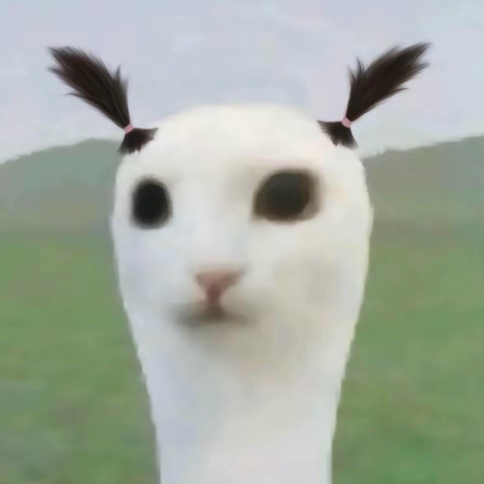 喵喵卓