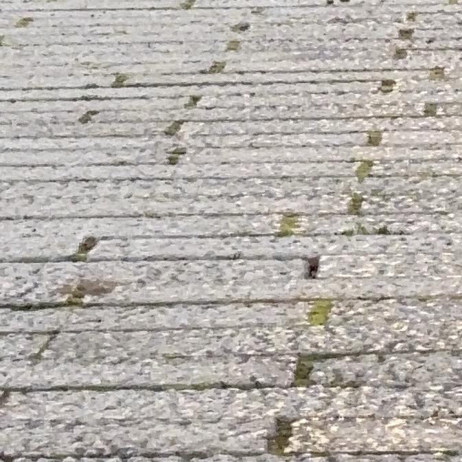 用户2577316430909
