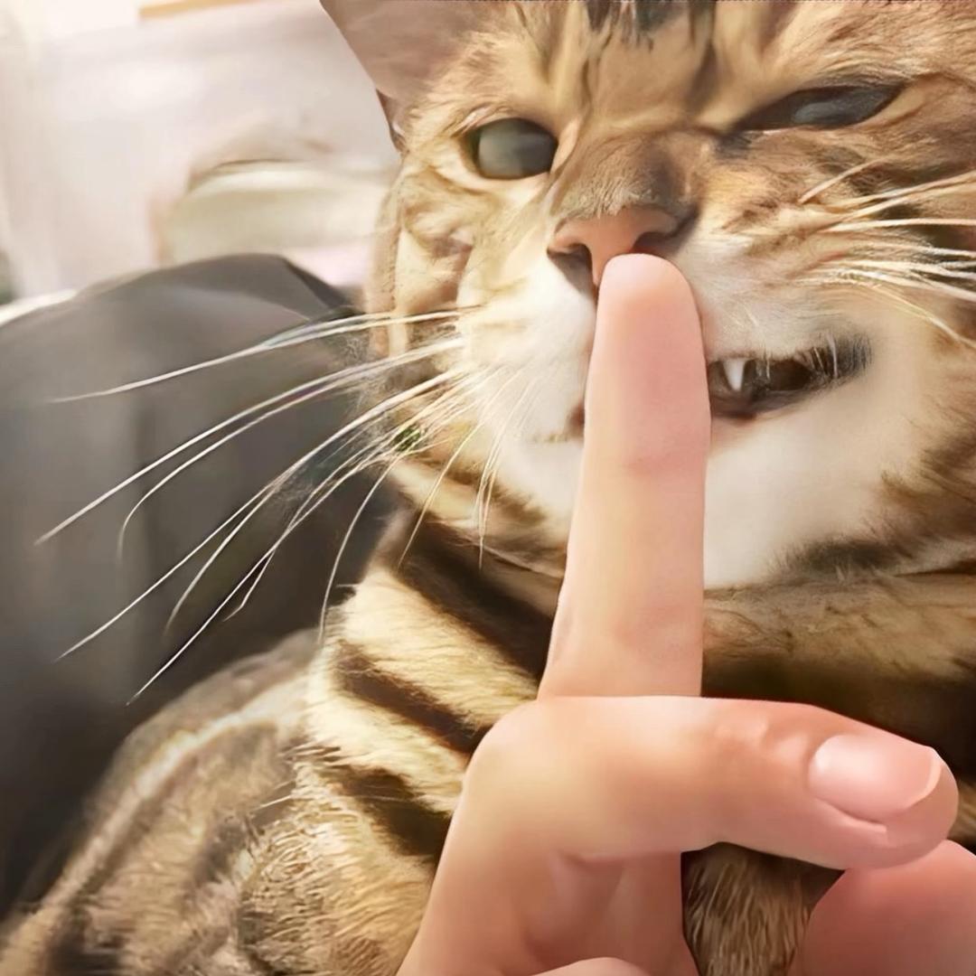 爱笑.梓鹤.开心❤️