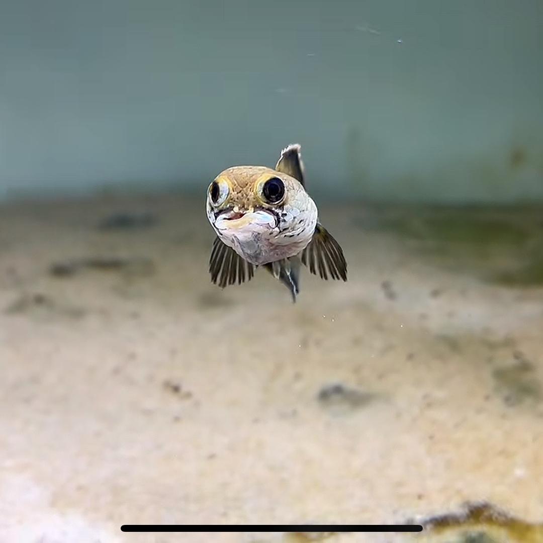 广西老表～雷龙臻选