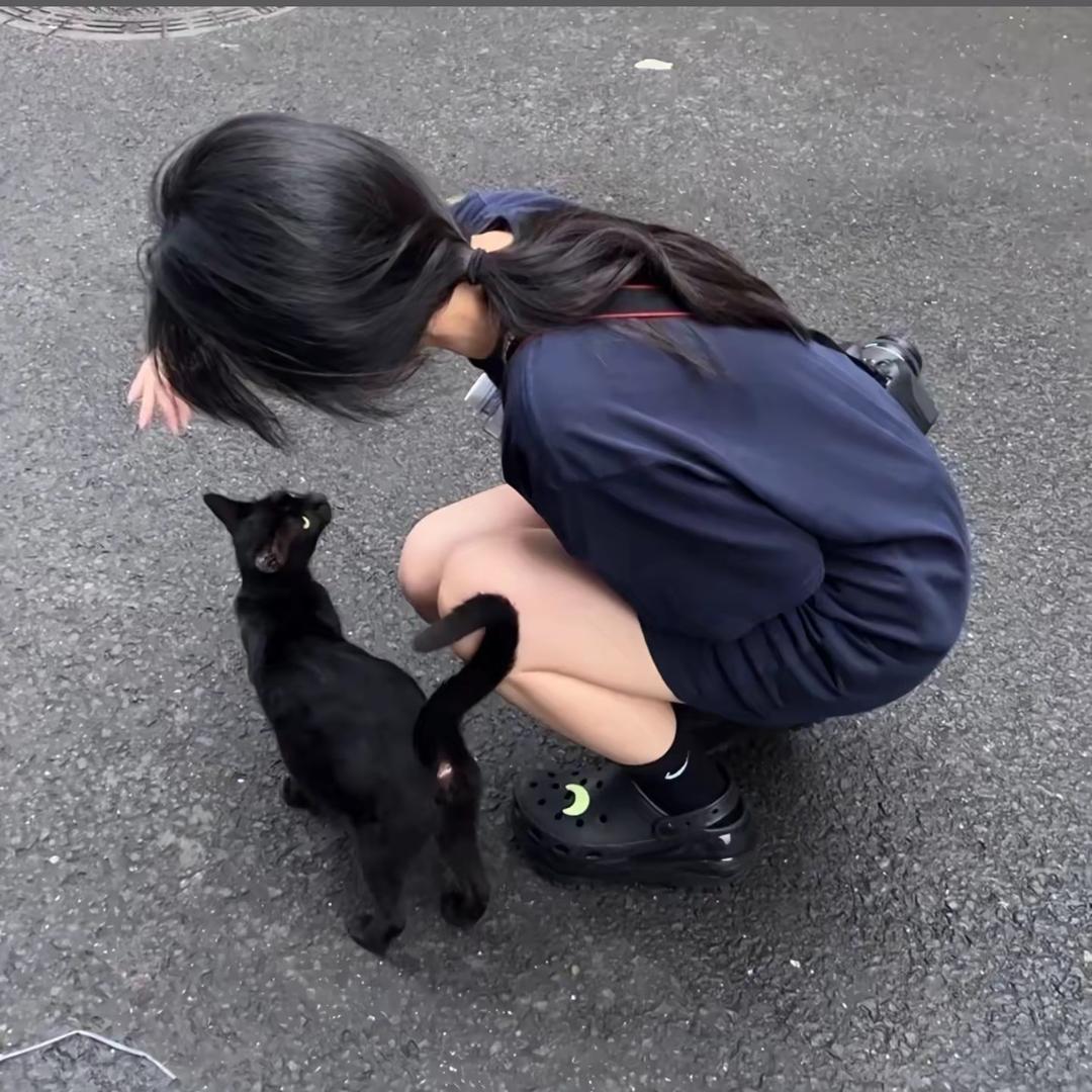 不吃香菜🌿