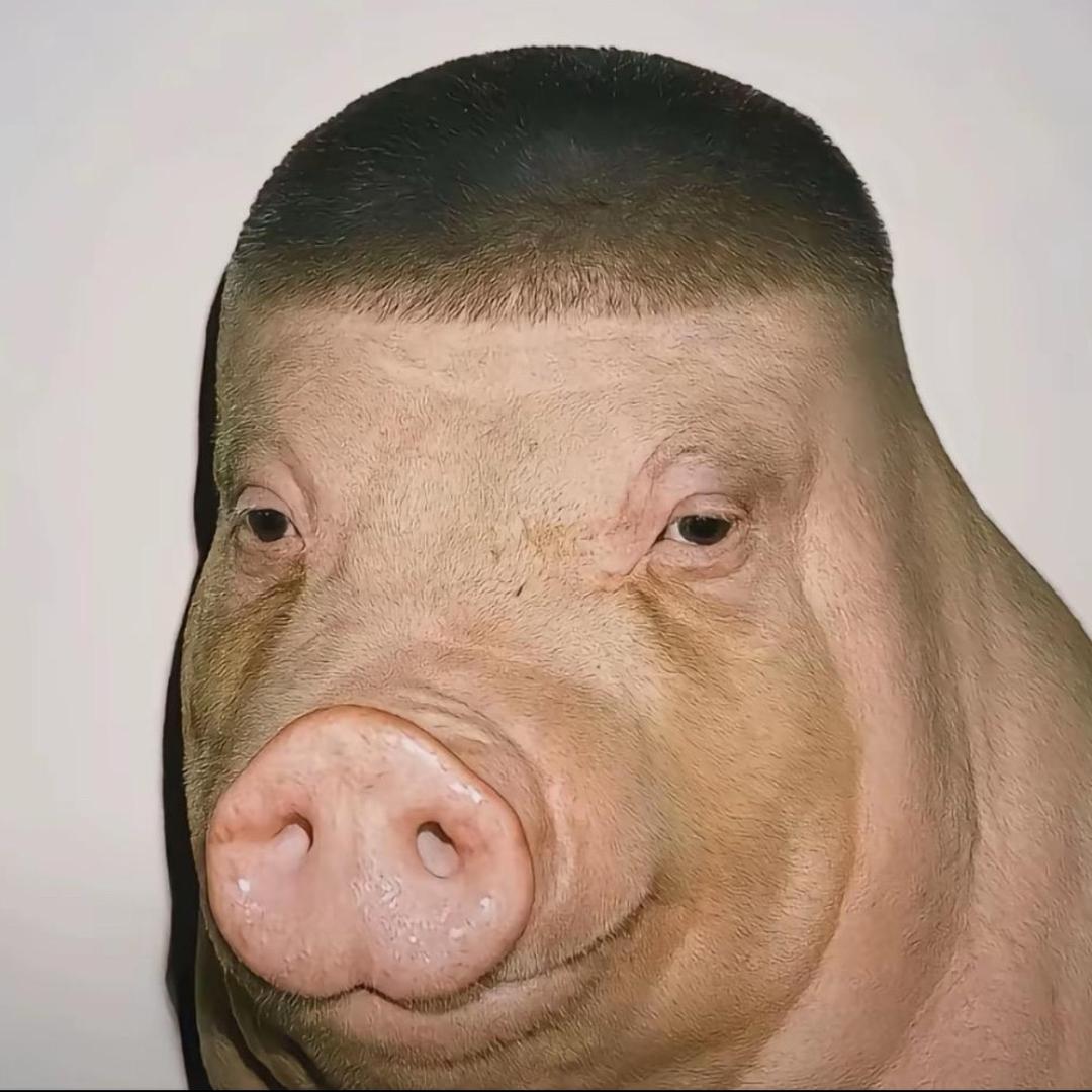 辉子