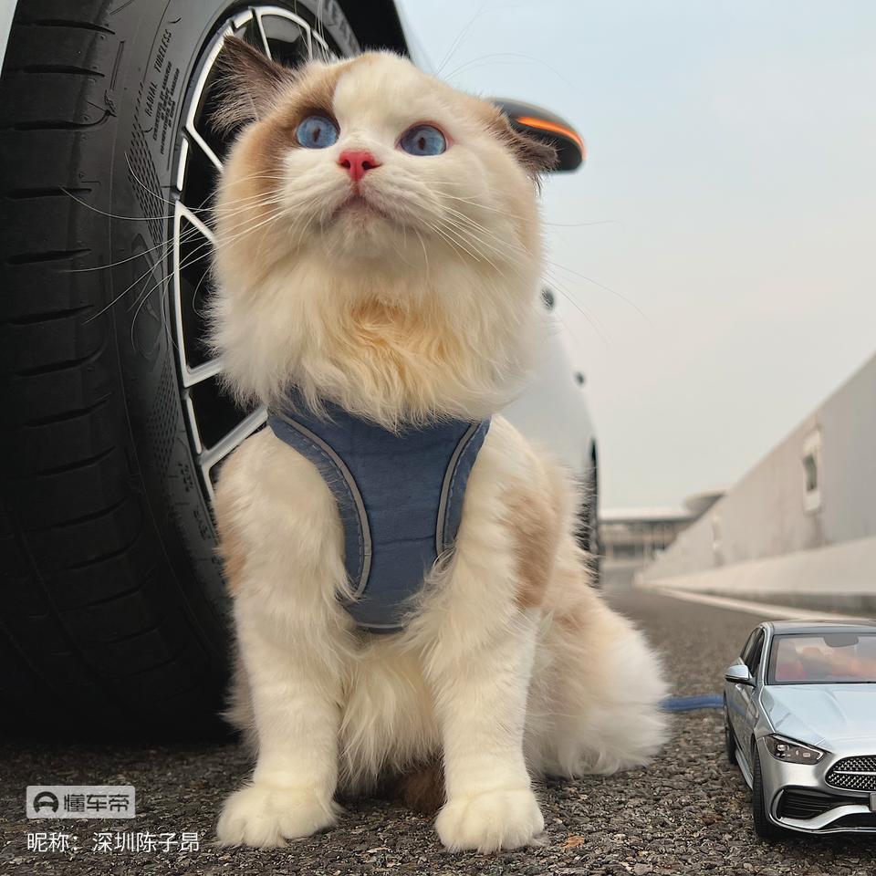 用户名66456981头像