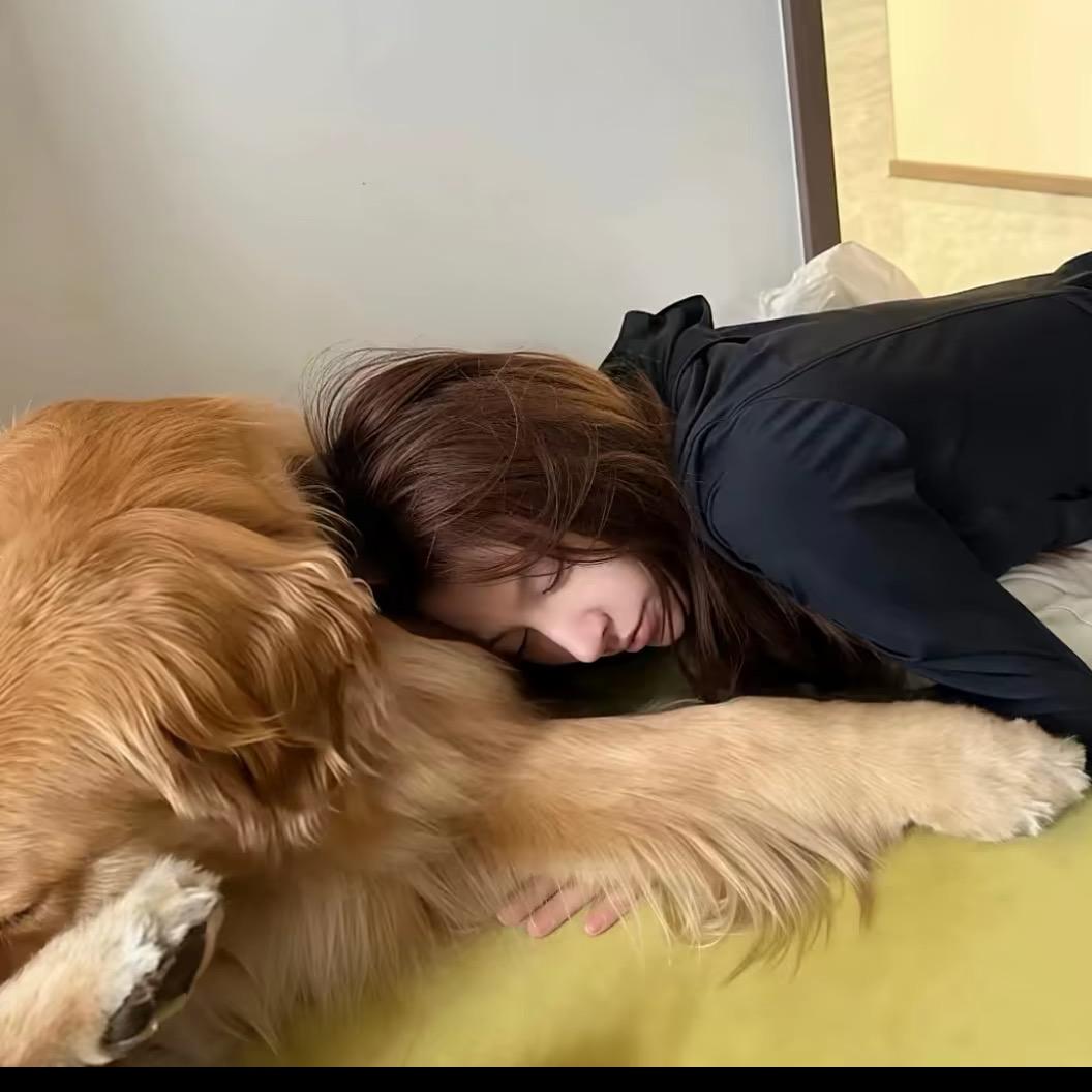 猫耳