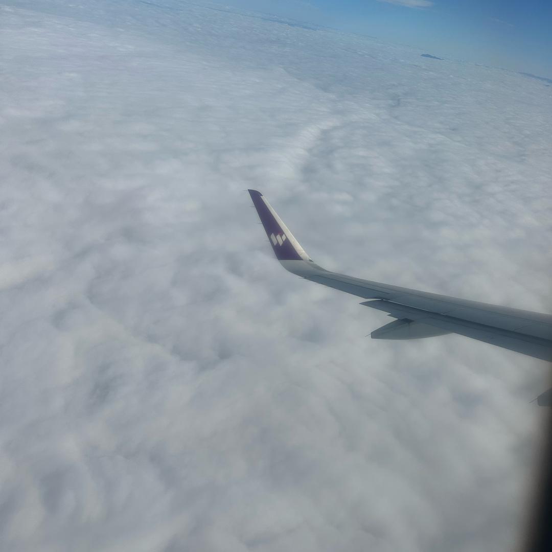 哈尼（缤果便利店）