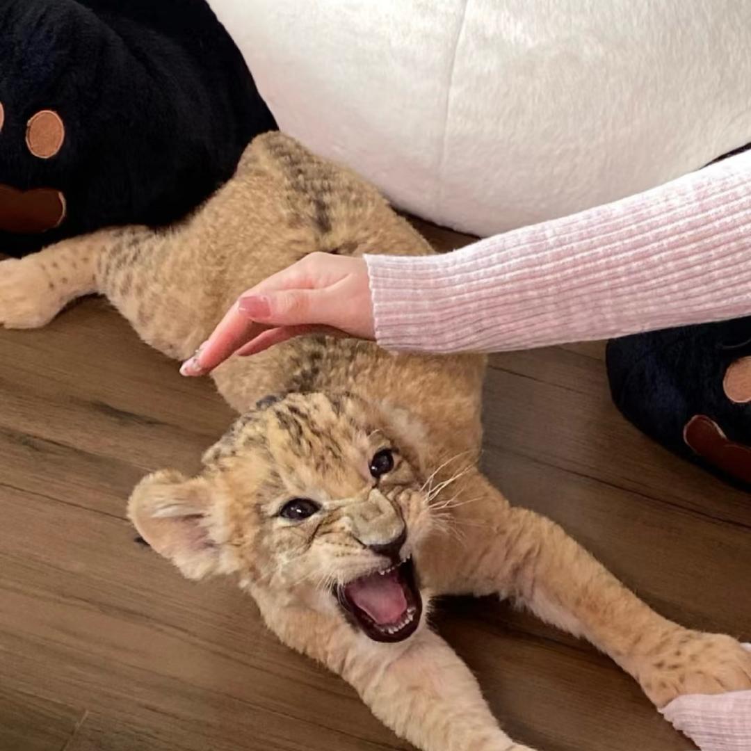 A_buling的小财月🥀