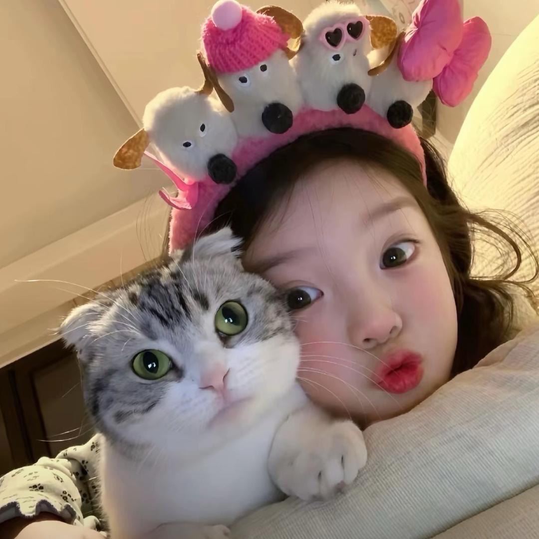 小鑫椰子
