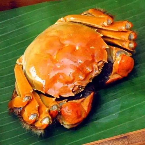 陈哈哈