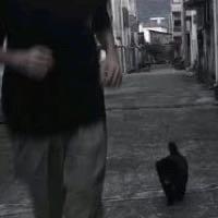 陳陳