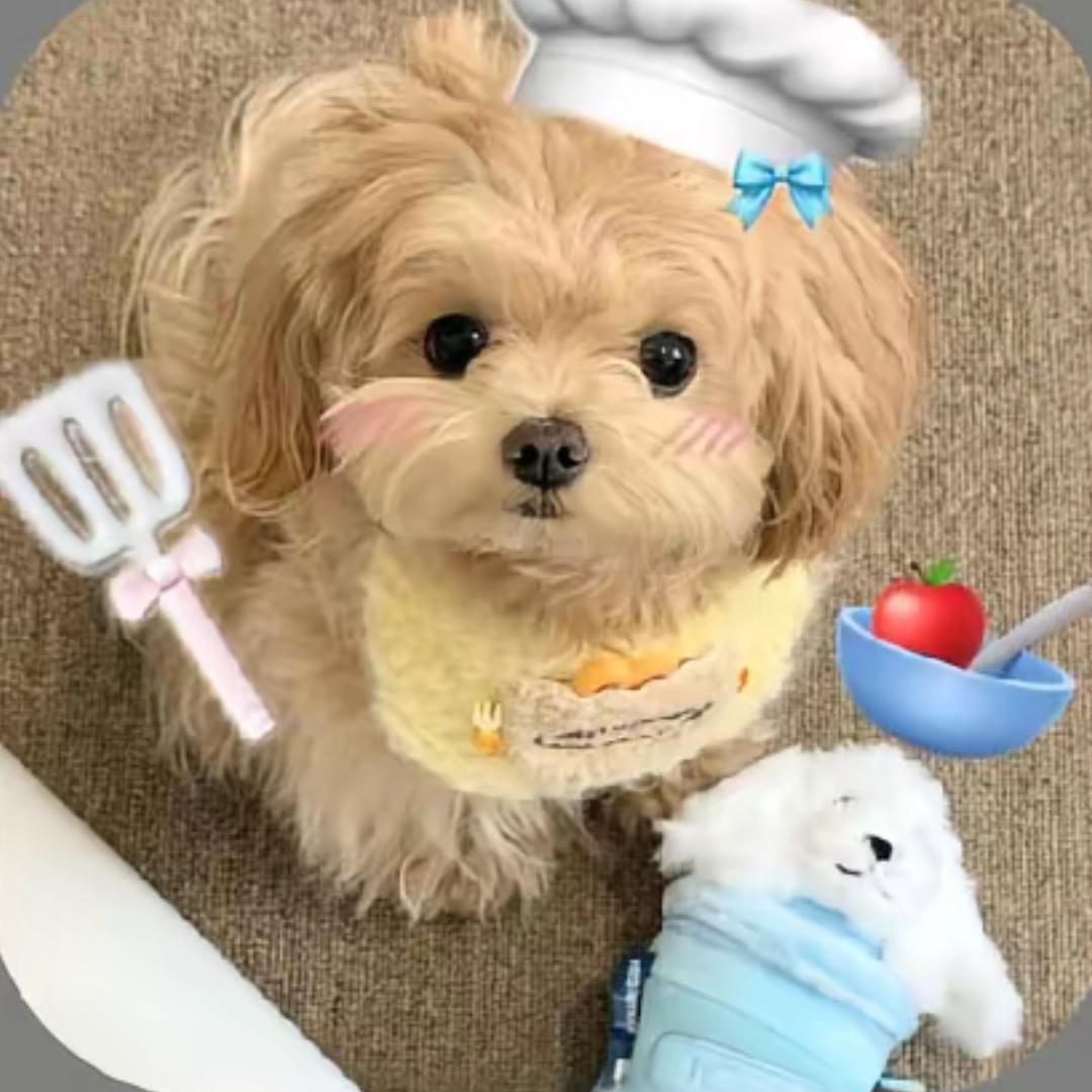 小姨子.