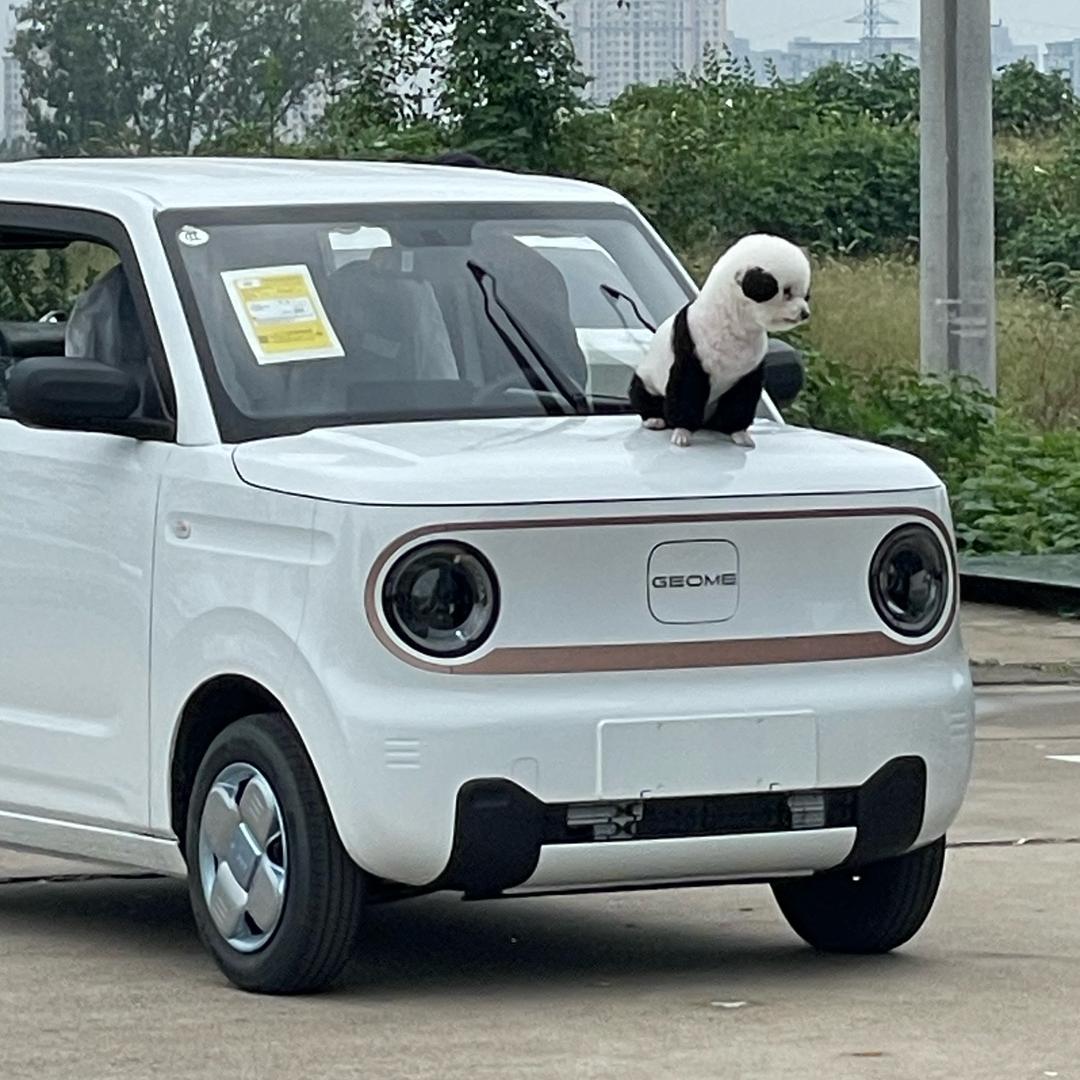 平顶山壹加壹汽车-小柒