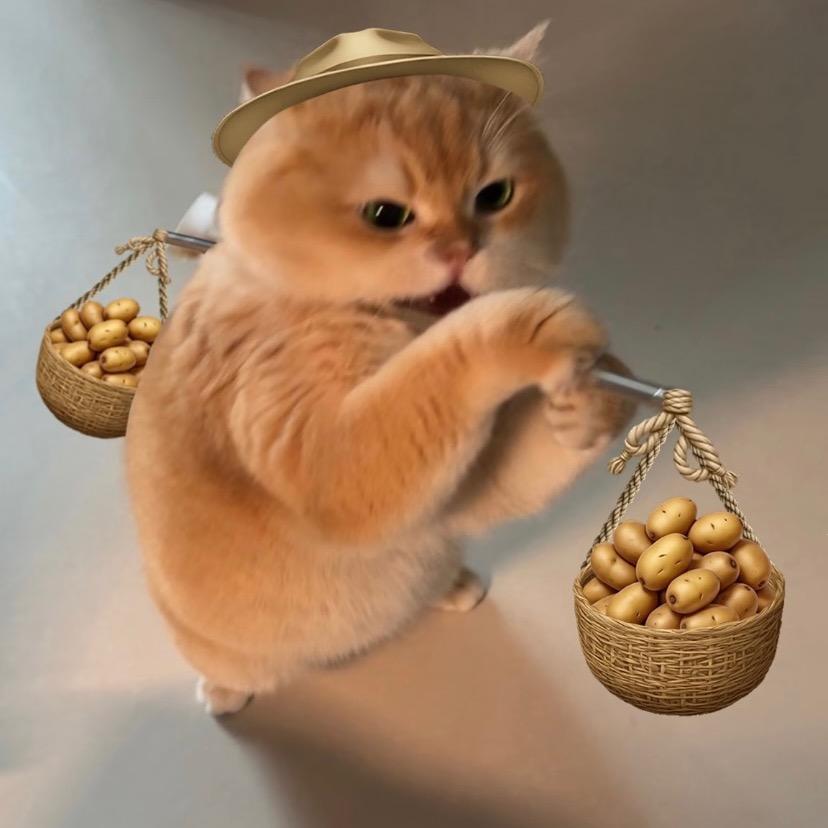 我是土豆