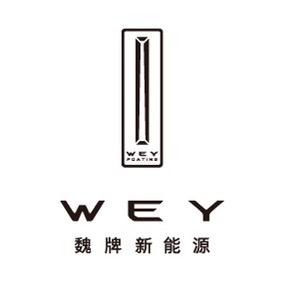 镇江长菱WEY