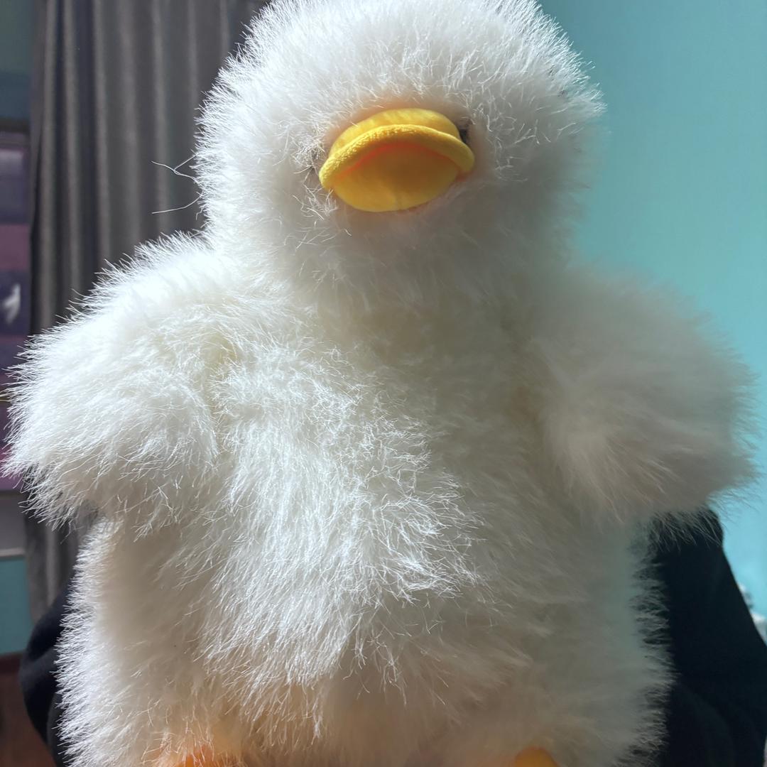 🧄🐦