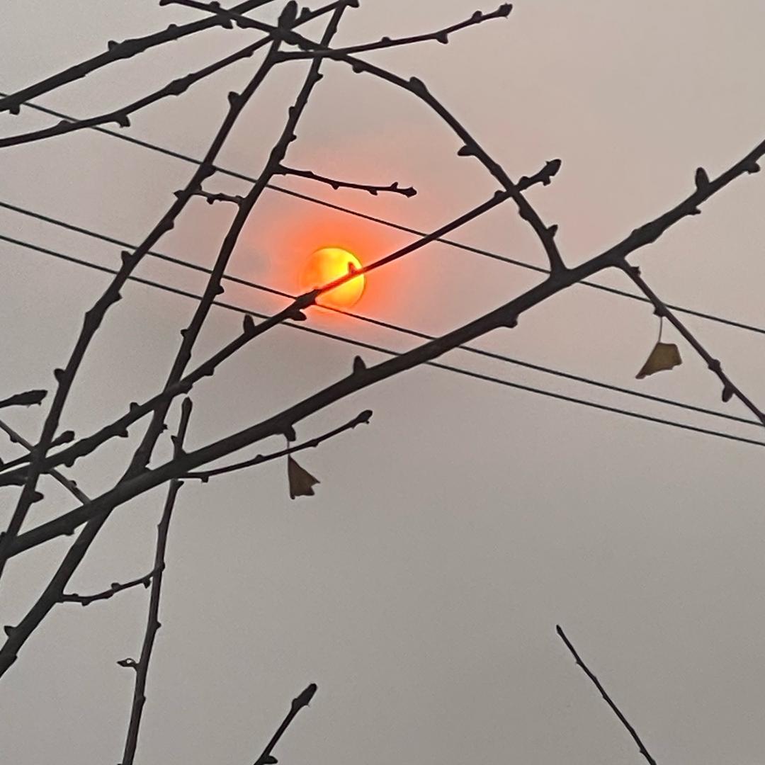 烦