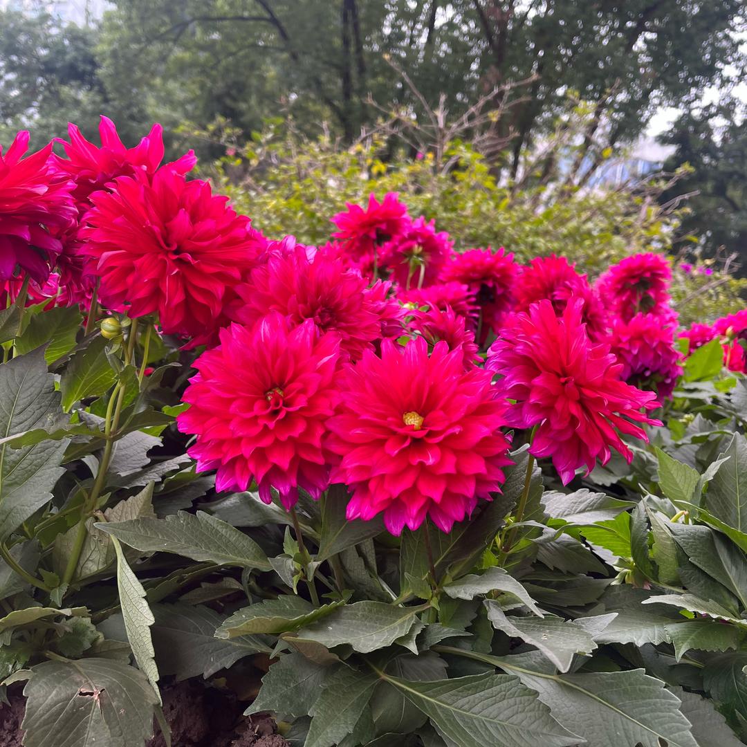 独来独往的女人