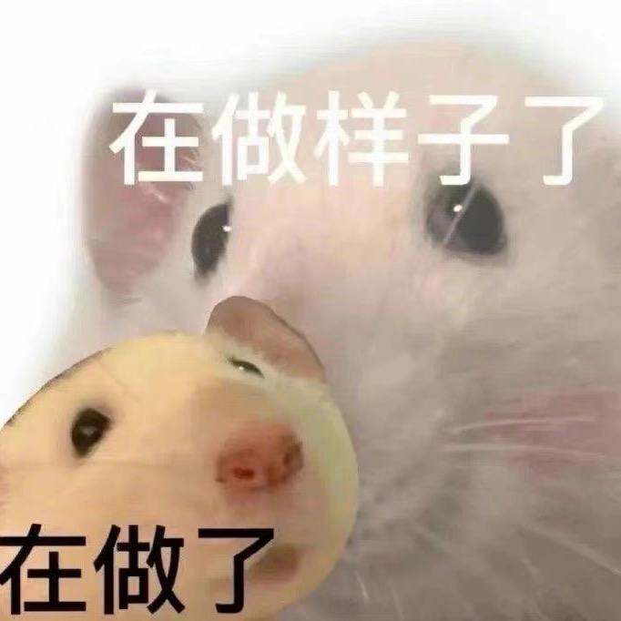 风火轮等次