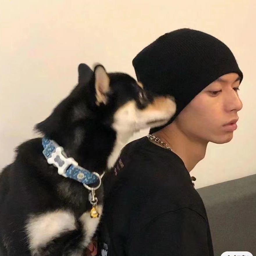 小宝（努力中）