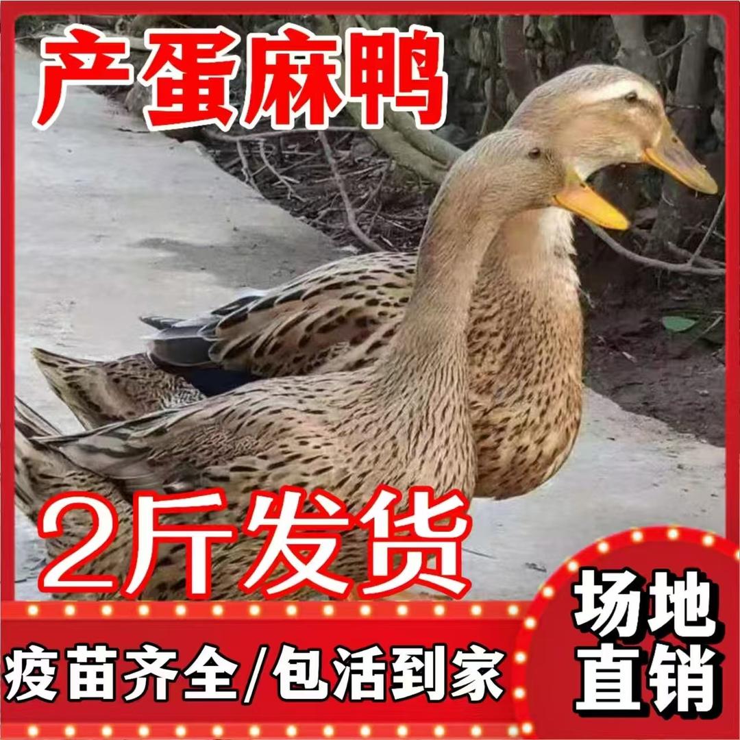 恩建五金百货中心