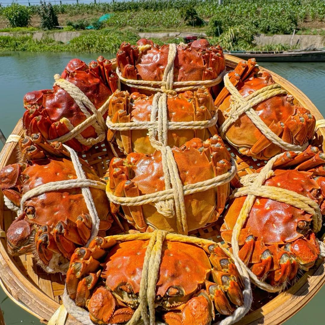 阿虾家蟹业批发