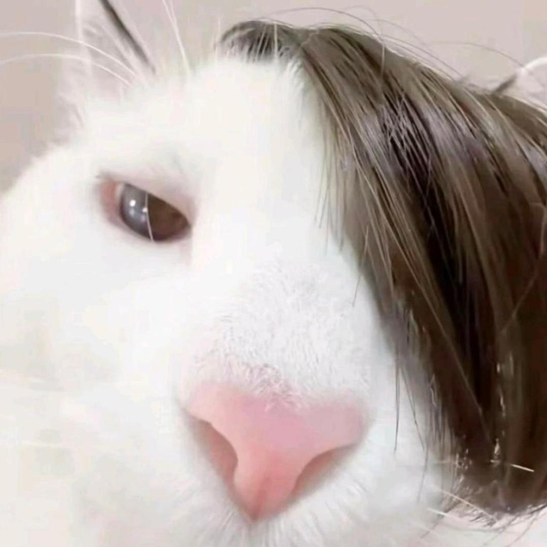 结扎后遇到爱