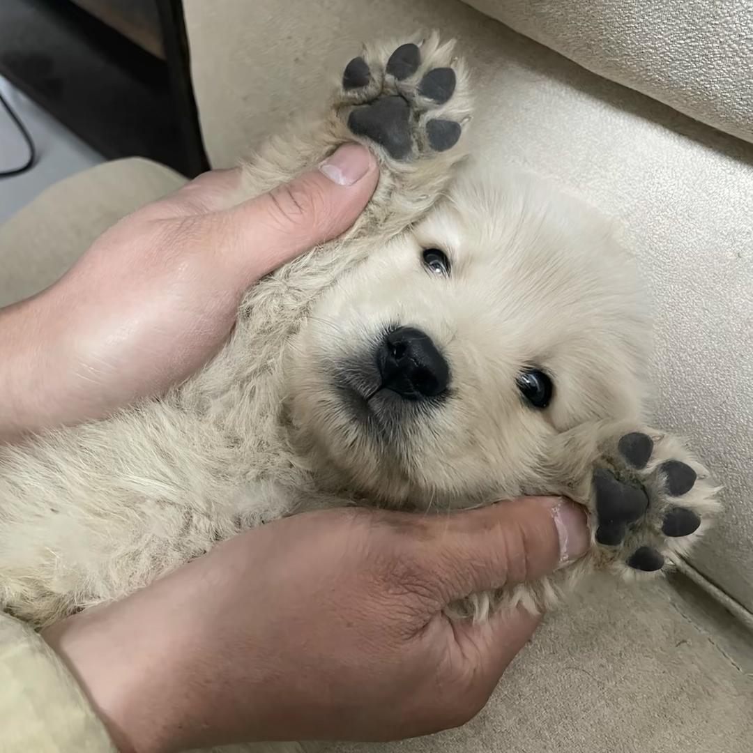 万物科普